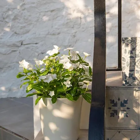 Stunning 4 Bed - Sierra Grazalema Holiday home *